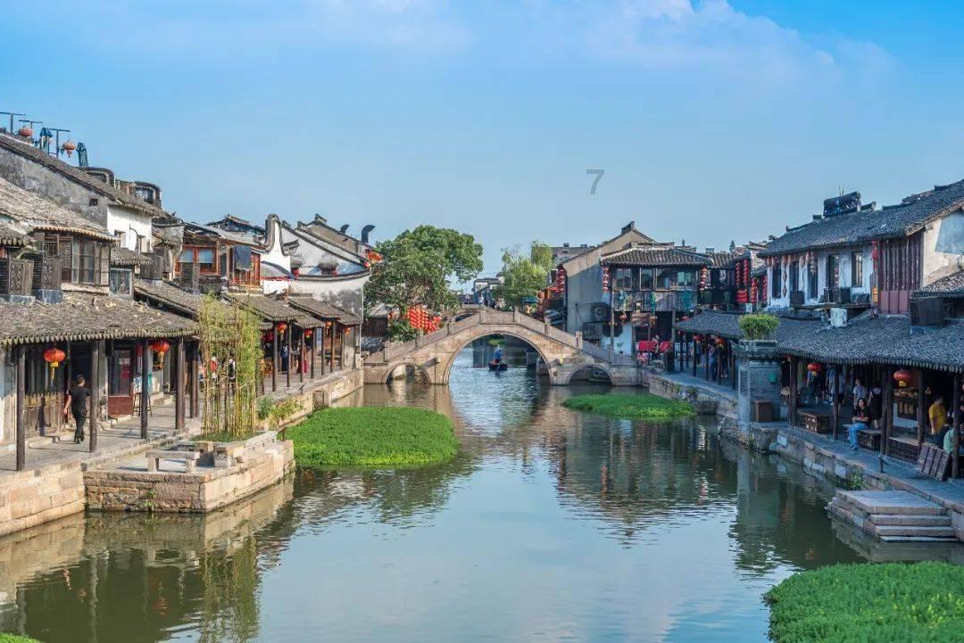拯救穆尔小马